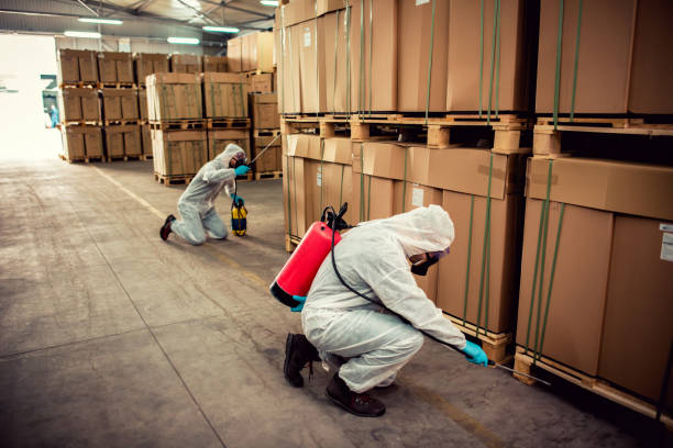 Best Bed Bug Extermination  in Strum, WI