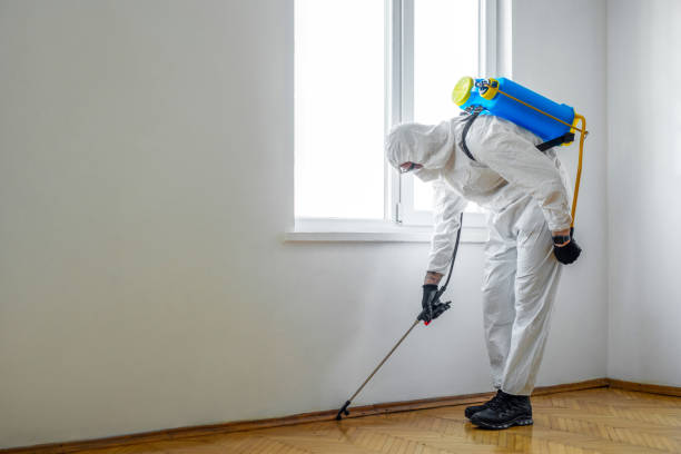 Best Best Pest Control Companies  in Strum, WI