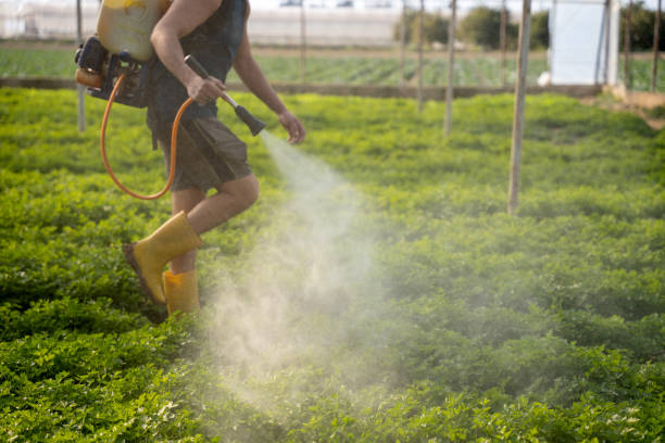 Best Commercial Pest Control Services  in Strum, WI