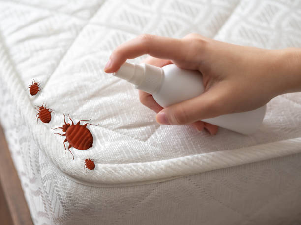 Best Pest Removal Services  in Strum, WI