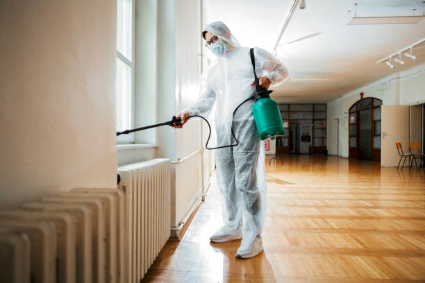 Best Affordable Pest Control Services  in Strum, WI