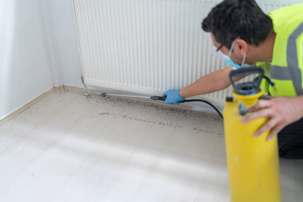 Best Affordable Pest Control Services  in Strum, WI