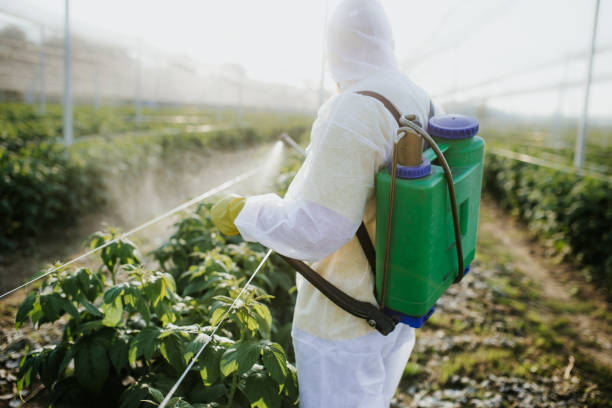 Best Mosquito Control Services  in Strum, WI